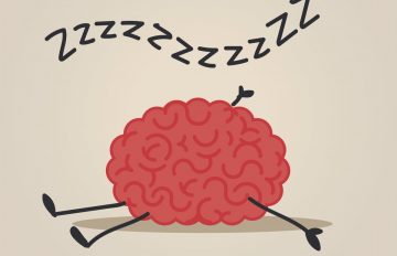 مراحل خواب انسان چیست؛ فعل و انفعالات مغز