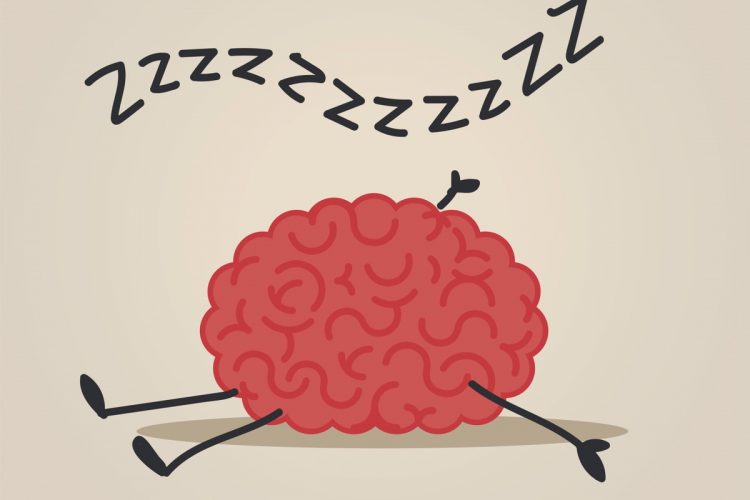 مراحل خواب انسان چیست؛ فعل و انفعالات مغز